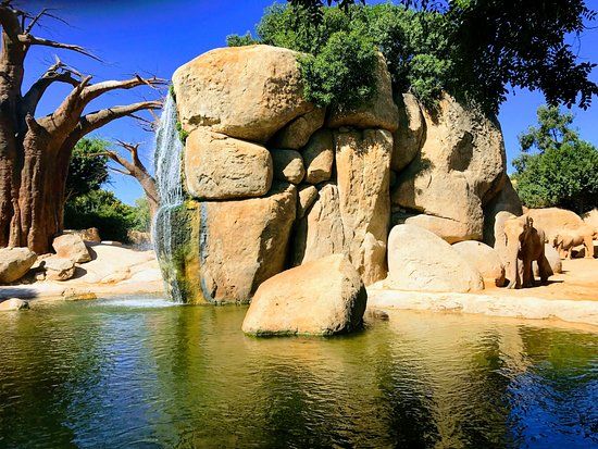 Bioparc